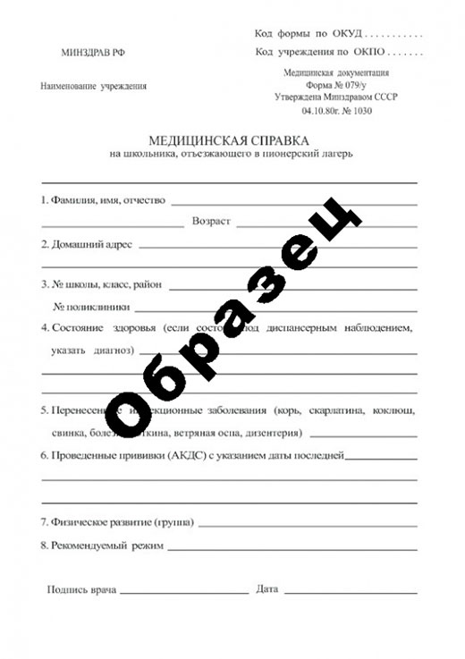 Получить справку в пионерский лагерь в Новосибирске Справка в пионерский лагерь в Новосибирске